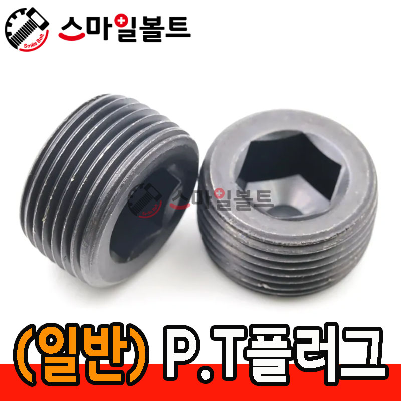 ▶ (일반) PT 플러그