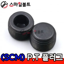 ▶ ( SCM ) _ PT 플러그