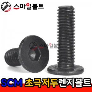 ▶ ( SCM ) 극저두_렌지볼트