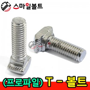 프로파일 _ T-볼트